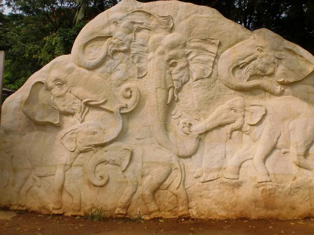 elephant