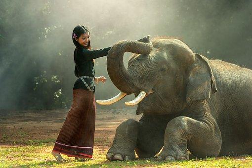 Thai kiskörút - 4 éj Bangkokban - magyar nyelvű idegenvezetéssel