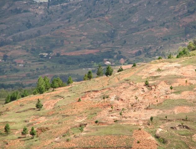 madagaszkár5.jpg