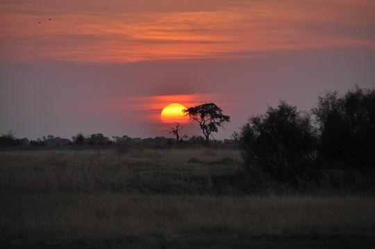 Busmanok földje, Viktória vízesés, Okavango delta