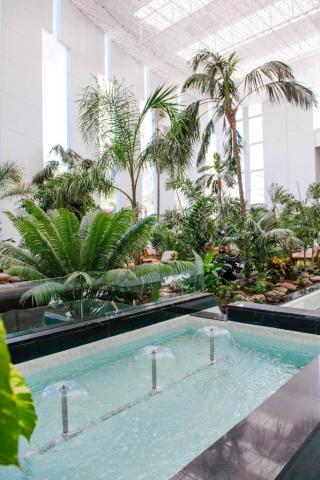Spring Hotel Vulcano