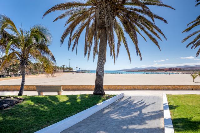 Barcelo Fuerteventura Royal Level Adults Only