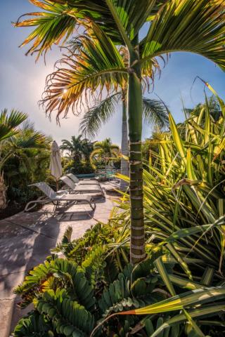 Lopesan Baobab Resort