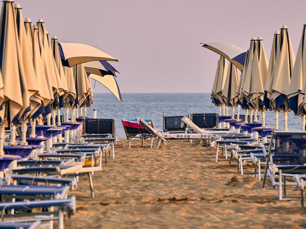 bibione3