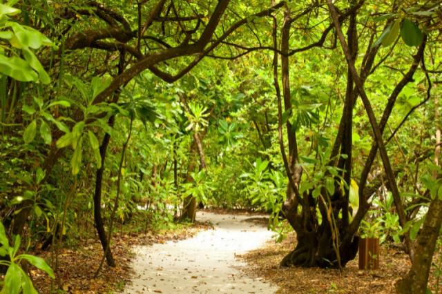 Reethi Beach Resort