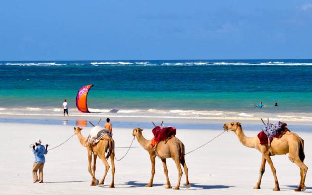 Kenya üdülés az őszi szünetben   (Southern Palm Beach Resort)