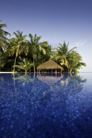 Infinity Pool (3)
