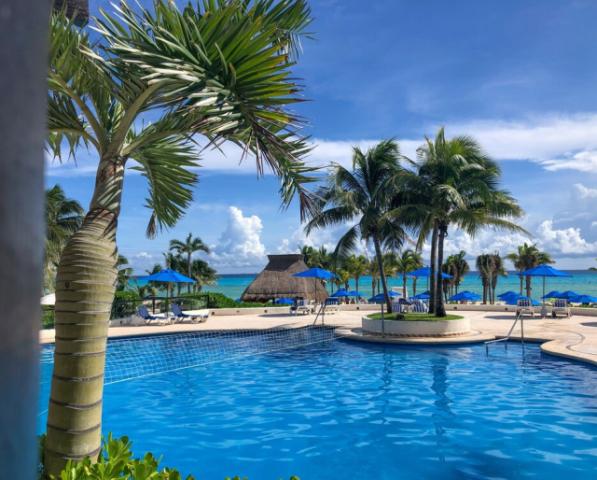 the-reef-playacar-2