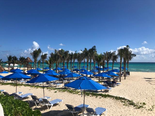 the-reef-playacar-1