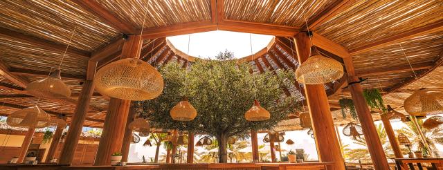 ULA resto_13by5