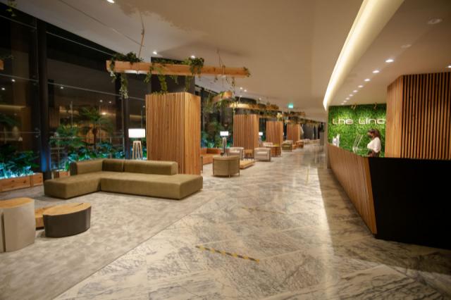 The Licence Hotel - Ponta Delgada-1