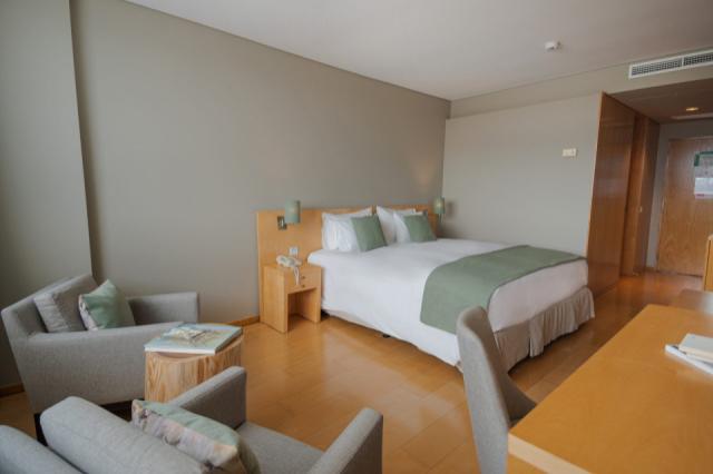 The Licence Hotel - Ponta Delgada-2-superior dbl room