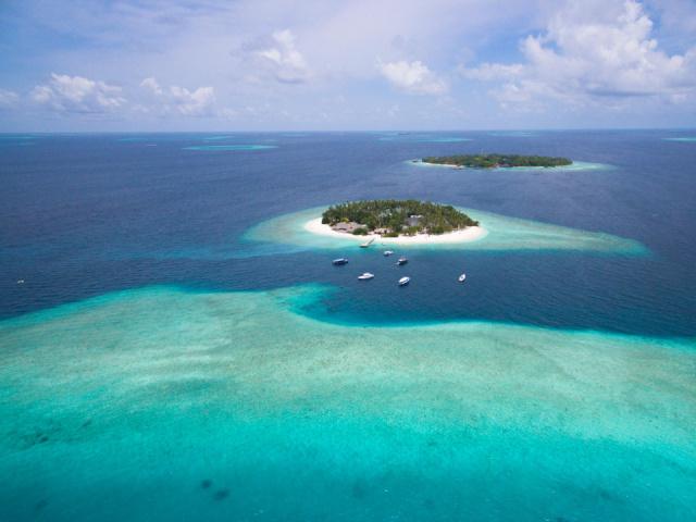 Aerial 1