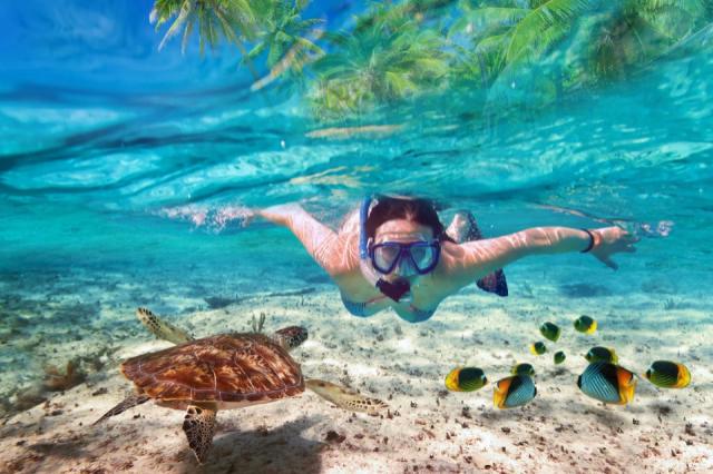 Vilu Reef Island Resort