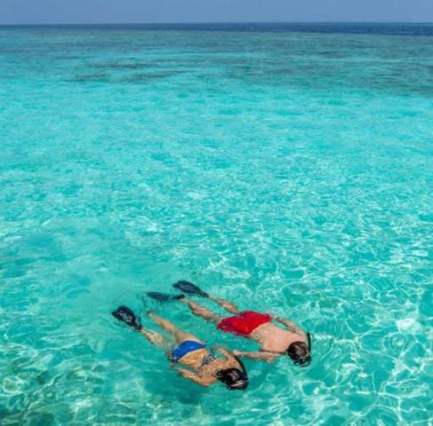 snorkelers-2