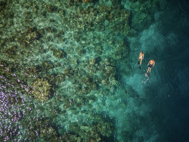 NH_Collection_Maldives_Havodda_Resort_Beach-Snorkelling_Couple