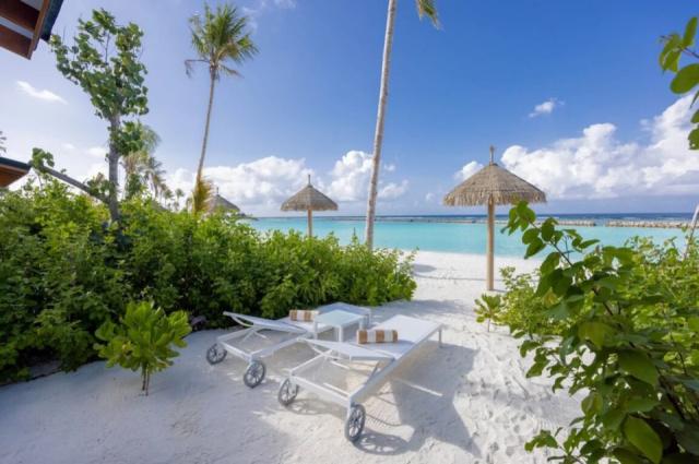 Joy Island