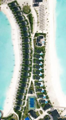 Joy Island