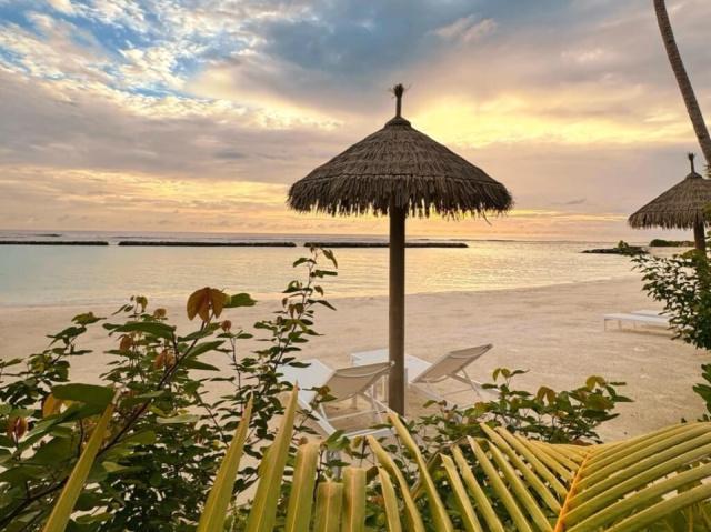 Joy Island