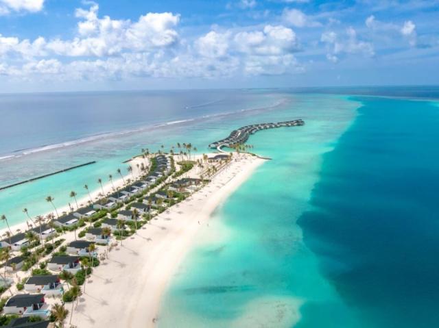 Joy Island