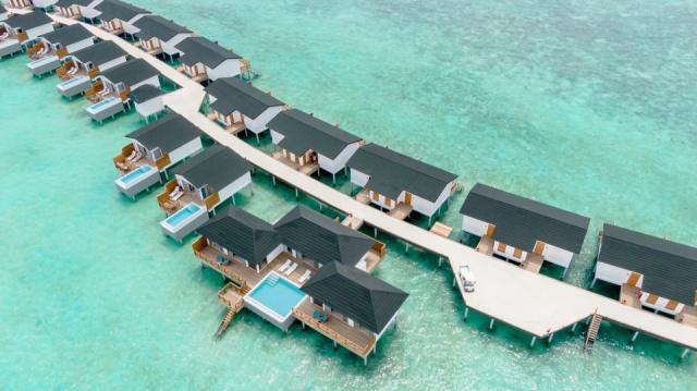 Joy Island