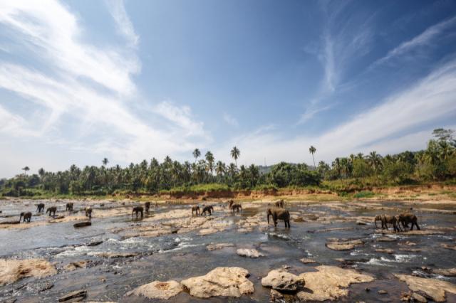 Egzotikus Srí Lanka - körutazás tengerparti pihenéssel (Kalutara/ 4* Turyaa Kalutara)