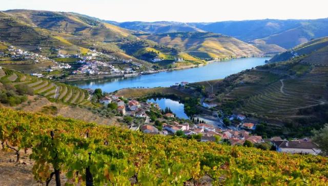 portugal-douro-vallee-ana-couto-shutterstock