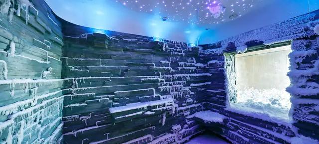 Snow room