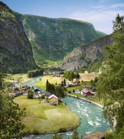 Flaam