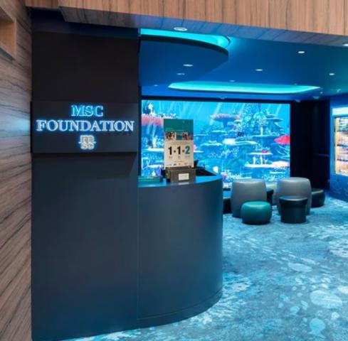 foundation