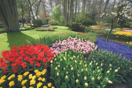 hollande-rhin-keukenhof03-croisieurope