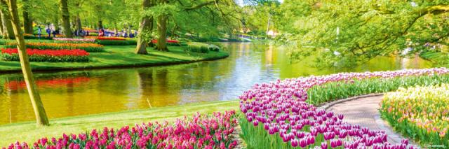 hollande-rhin-parc-keukenhof-croisieurope-slider-anv-shuttersto