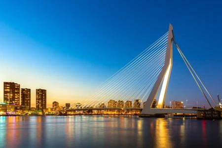rotterdam-vichaya-kiatying-angsulee-vichaya-kiatying-angsulee