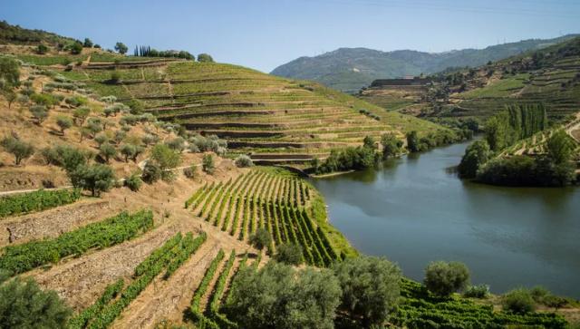 portugal-douro-vallee-paysage02-croisieurope