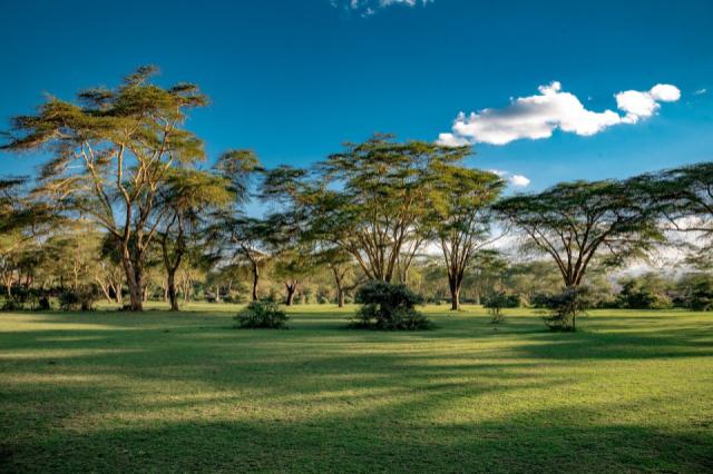 lake-naivasha-4394955_1280