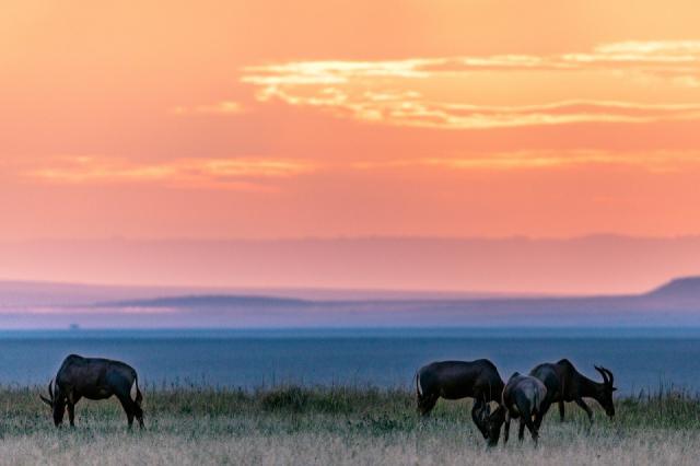 sunset-7446934_1280