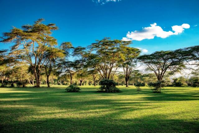 lake-naivasha-4394955_1280