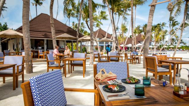 tui-blue-olhuveli-romance-the-bite