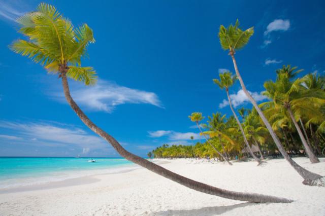 RS10242_shutterstock_1113278339-scr