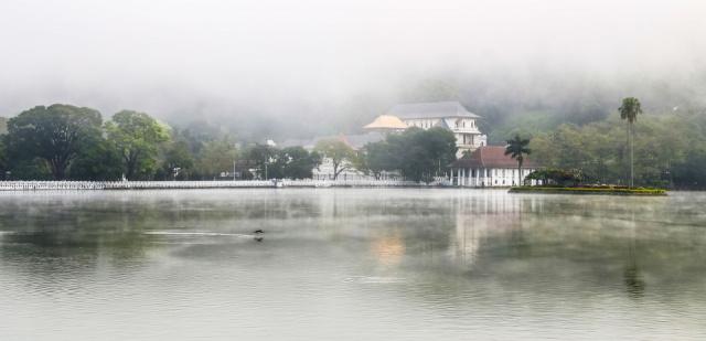 kandy-4173595_1920
