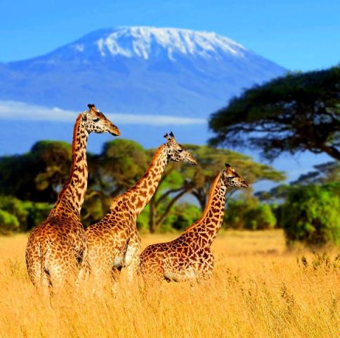 Tanzania3