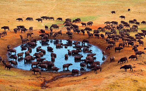 Tanzania2