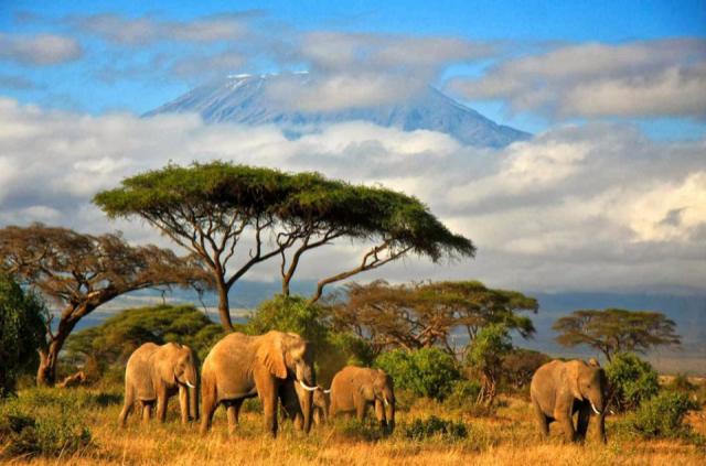 Tanzania4