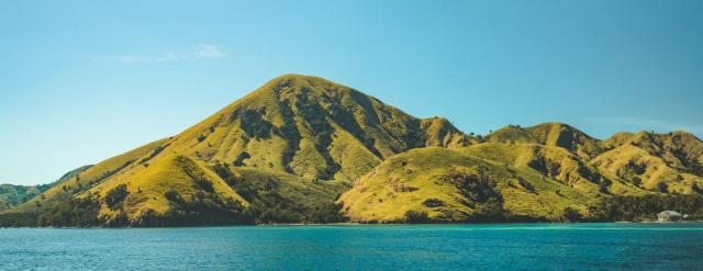 Komodo
