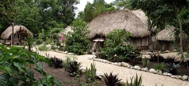 Costa Maya