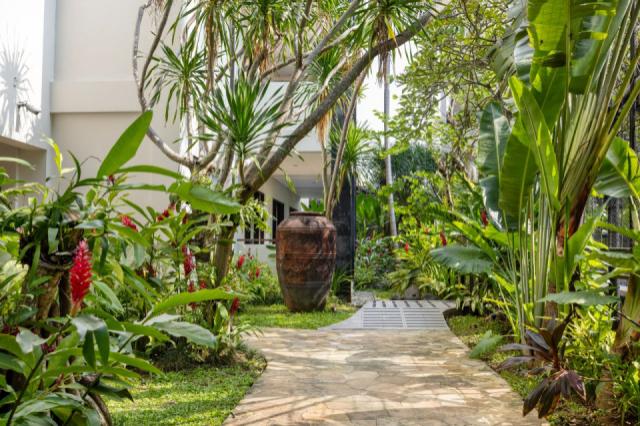 Pathway Garden