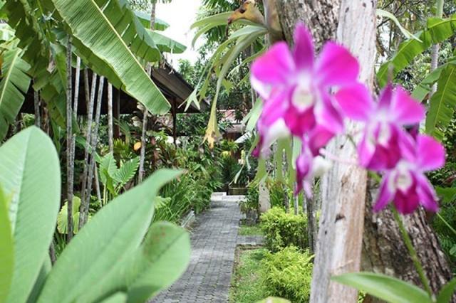 Orchid Garden