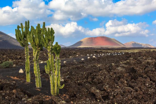 Lanzarote