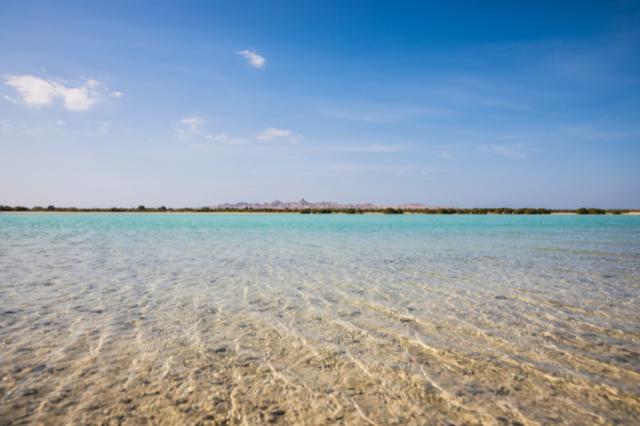 Sir Bani Yas sziget