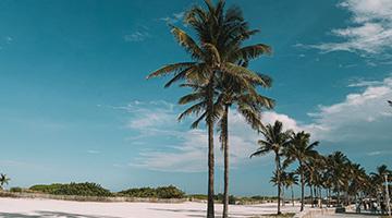 Miami